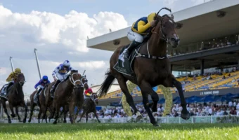 2026 Golden Rose Winner Warwoven Firms for Caulfield Guineas Bid