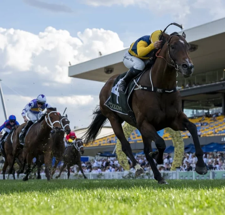 2026 Golden Rose Winner Warwoven Firms for Caulfield Guineas Bid