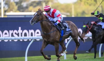 Skyhook Strengthens 2026 Golden Eagle Claims with Dominant Shannon Stakes Victory