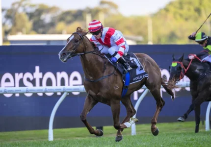2026 Shannon Stakes winner Skyhook