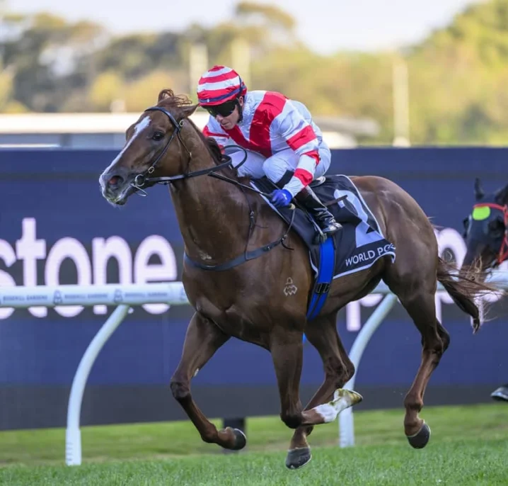 Skyhook Strengthens 2026 Golden Eagle Claims with Dominant Shannon Stakes Victory