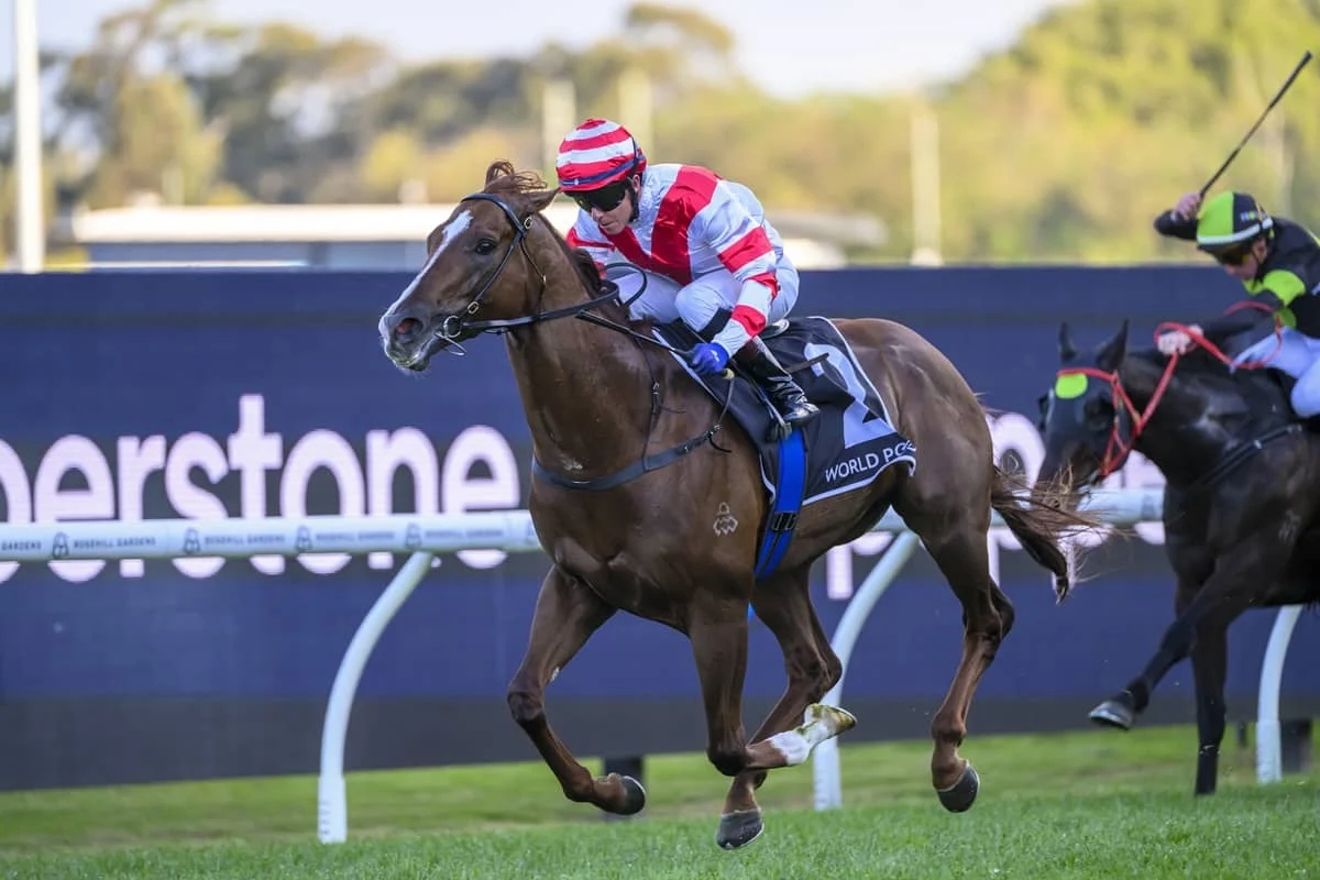 2026 Shannon Stakes winner Skyhook