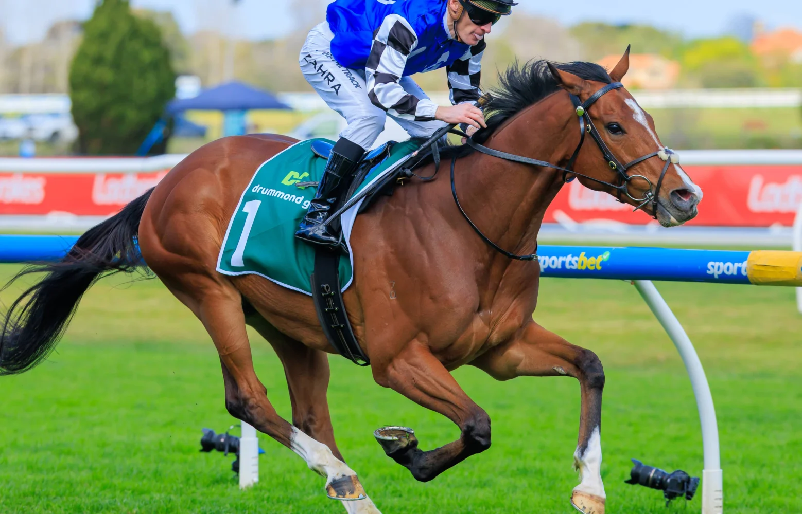 2026 JRA Cup winner Royal Supremacy
