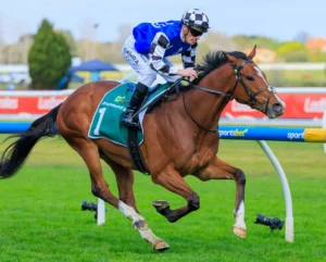 2026 JRA Cup winner Royal Supremacy