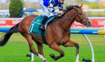 Royal Supremacy Strengthens Maher’s 2026 Caulfield Cup Hand with Dominant JRA Cup Victory