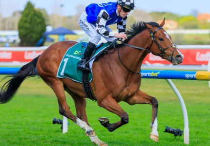 2026 JRA Cup winner Royal Supremacy