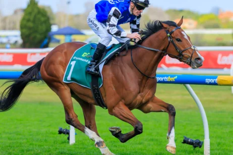 2026 JRA Cup winner Royal Supremacy