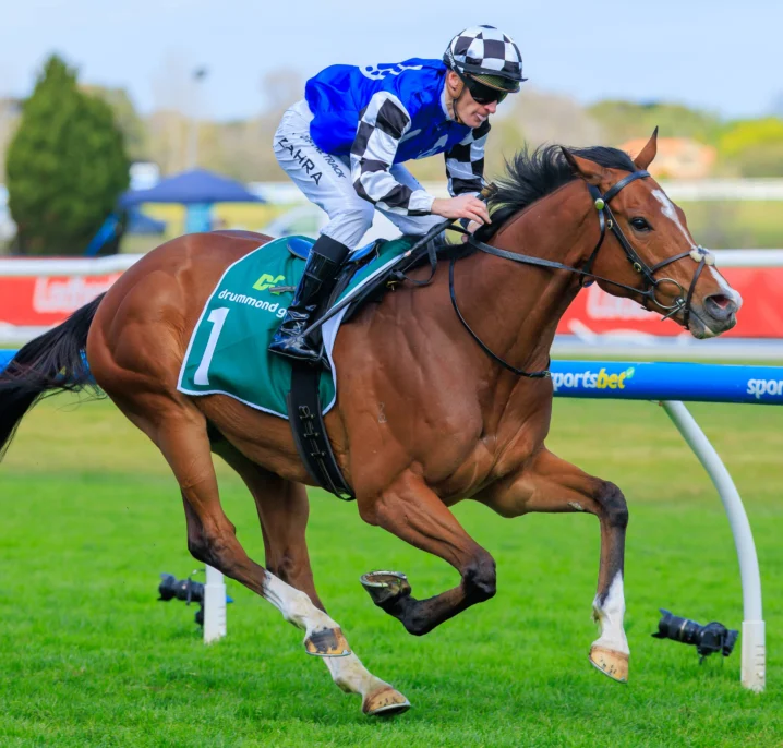Royal Supremacy Strengthens Maher’s 2026 Caulfield Cup Hand with Dominant JRA Cup Victory