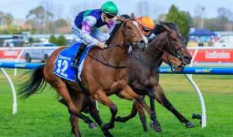 Over The Bridge Keeps Perfect Record Intact, Firms in Thousand Guineas 2026 Odds