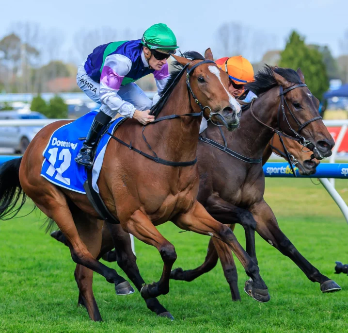 Over The Bridge Keeps Perfect Record Intact, Firms in Thousand Guineas 2026 Odds