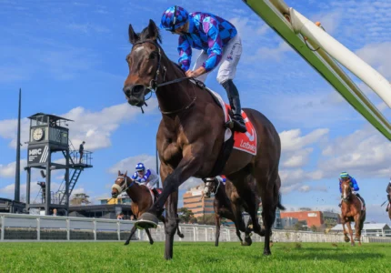 2026 Feehan Stakes winner Pride Of Jenni