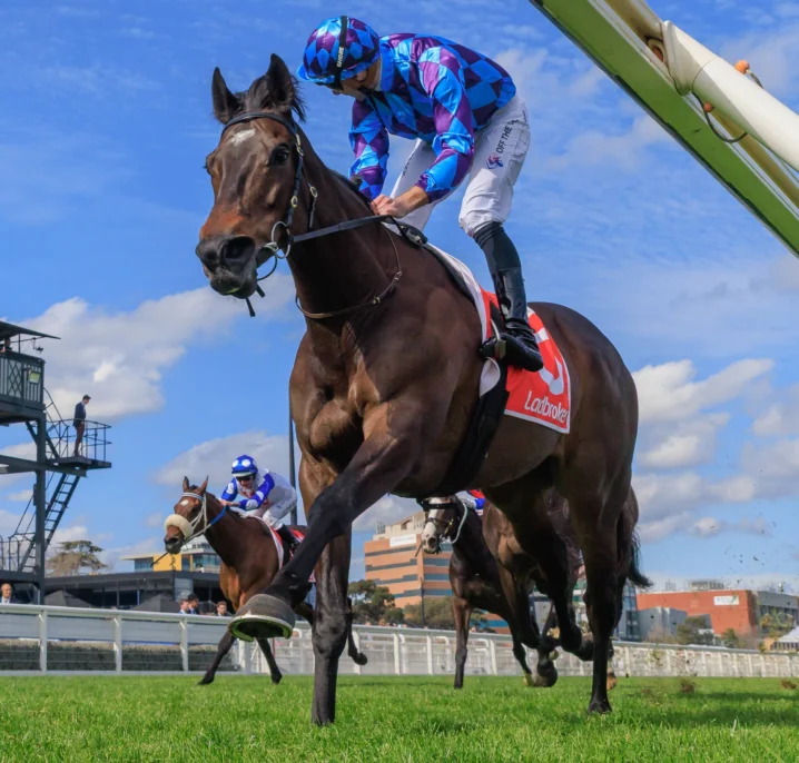 Pride Of Jenni Rewrites the Record Books with Historic Third Straight Feehan Stakes Triumph