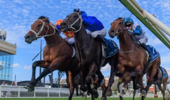 Diameter Launches 2026 Caulfield Guineas Bid with Tough Stutt Stakes Victory