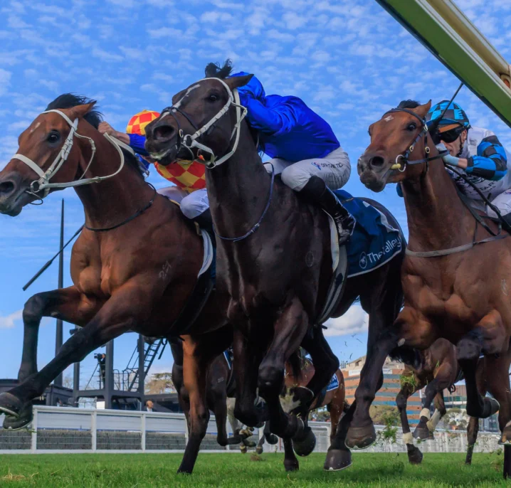 Diameter Launches 2026 Caulfield Guineas Bid with Tough Stutt Stakes Victory