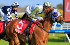 2026 Stocks Stakes winner Changing Colours