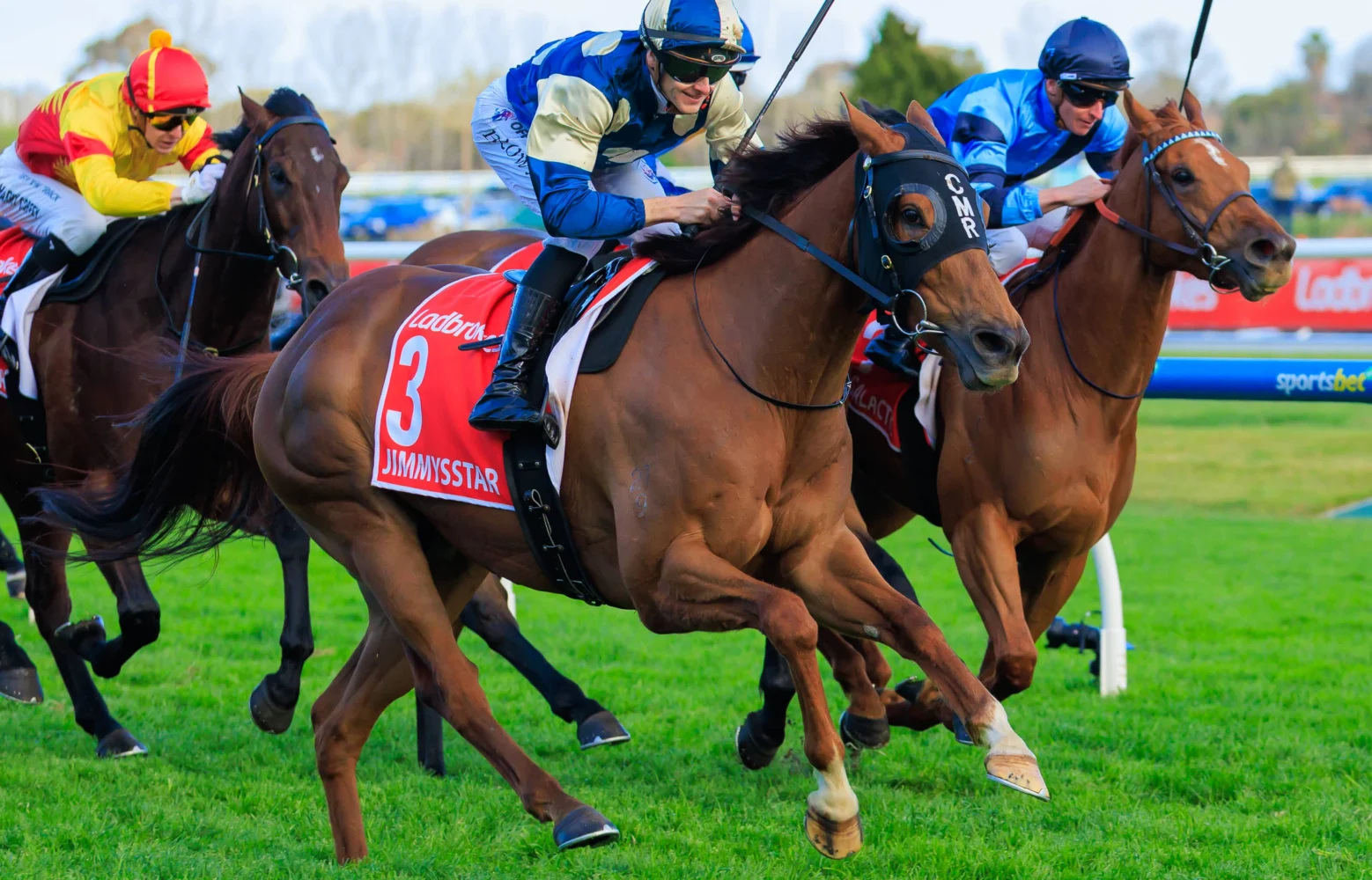 2026 Manikato Stakes winner Jimmysstar
