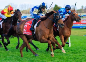 2026 Manikato Stakes winner Jimmysstar