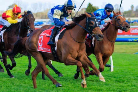 2026 Manikato Stakes winner Jimmysstar