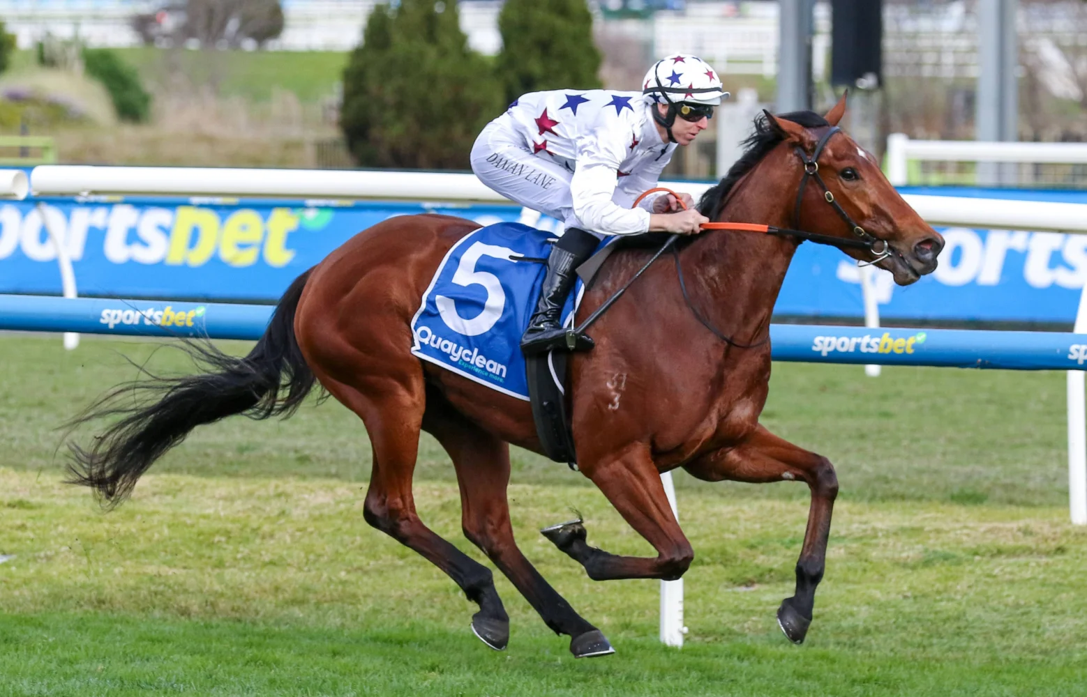 Danehill Stakes 2026 Predictions & Tips: Natural Fling