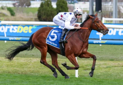 Danehill Stakes 2026 Predictions & Tips: Natural Fling