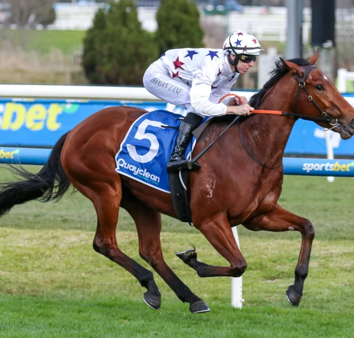 Danehill Stakes 2026 Predictions, Preview & Betting Tips: Punters Fling to Favourite