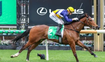 Saintly Dancer Storms Up Thousand Guineas 2026 Betting with Six Length Edward Manifold Victory