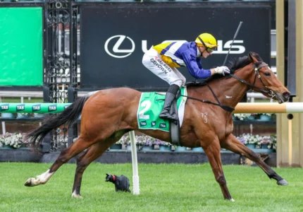 2026 Edward Manifold Stakes winner Saintly Dancer