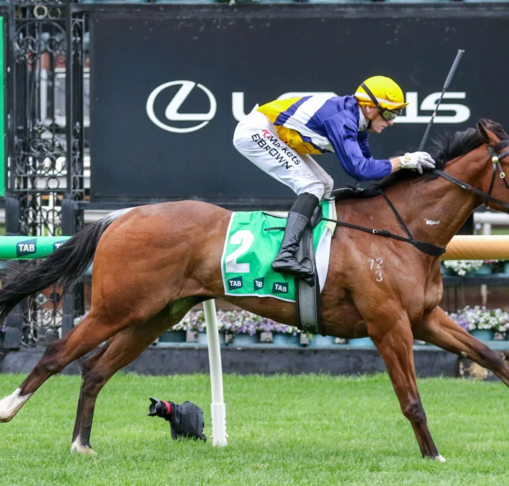 Saintly Dancer Storms Up Thousand Guineas 2026 Betting with Six Length Edward Manifold Victory