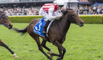 2026 Flight Stakes Results: Global Goal Wins, Thousand Guineas Option Open