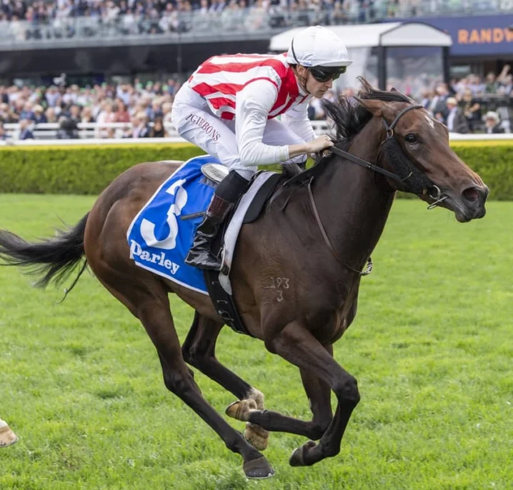 2026 Flight Stakes Results: Global Goal Wins, Thousand Guineas Option Open