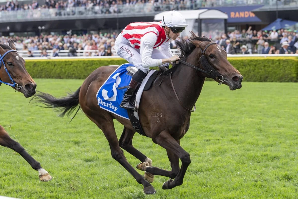 2026 Flight Stakes winner Global Goal