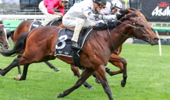 Danehill Winner The Next Episode Firms into Coolmore Stud Stakes 2026 Favouritism