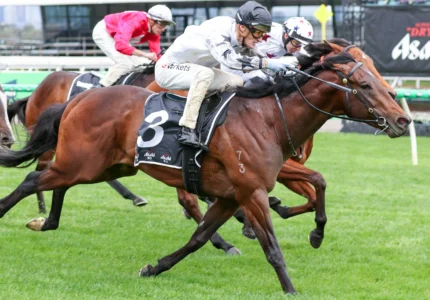 2026 Danehill Stakes winner The Next Episode