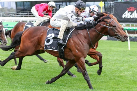 2026 Danehill Stakes winner The Next Episode