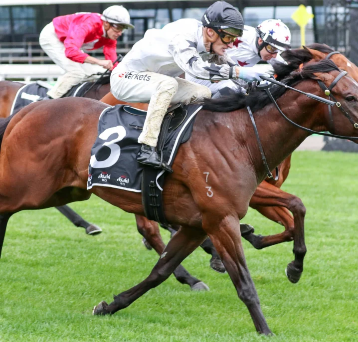 Danehill Winner The Next Episode Firms into Coolmore Stud Stakes 2026 Favouritism