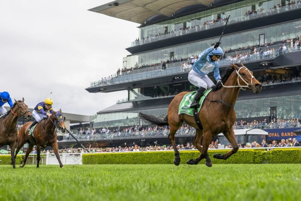 2026 Epsom Handicap winner God's Window