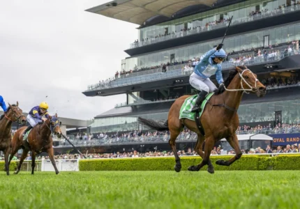 2026 Epsom Handicap winner God's Window