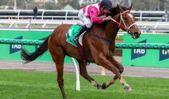Cosmic Crusader Conquers Turnbull Stakes 2026 Results, Firms in Cox Plate Betting