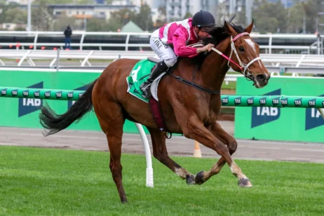 2026 Turnbull Stakes winner Cosmic Crusader