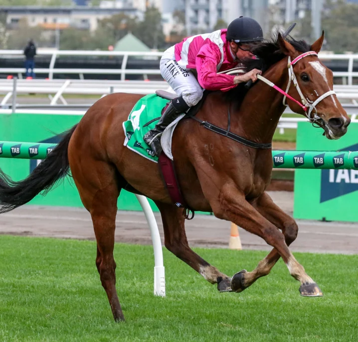 Cosmic Crusader Conquers Turnbull Stakes 2026 Results, Firms in Cox Plate Betting
