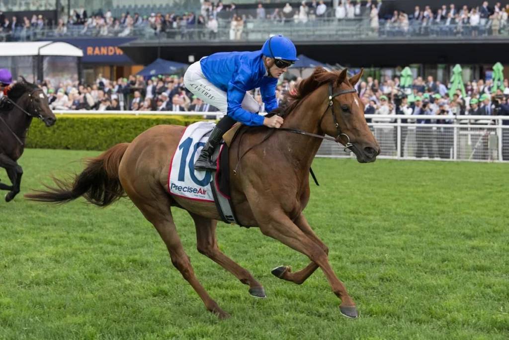 2026 Premiere Stakes winner Tempted