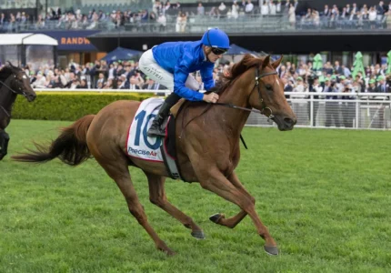 2026 Premiere Stakes winner Tempted