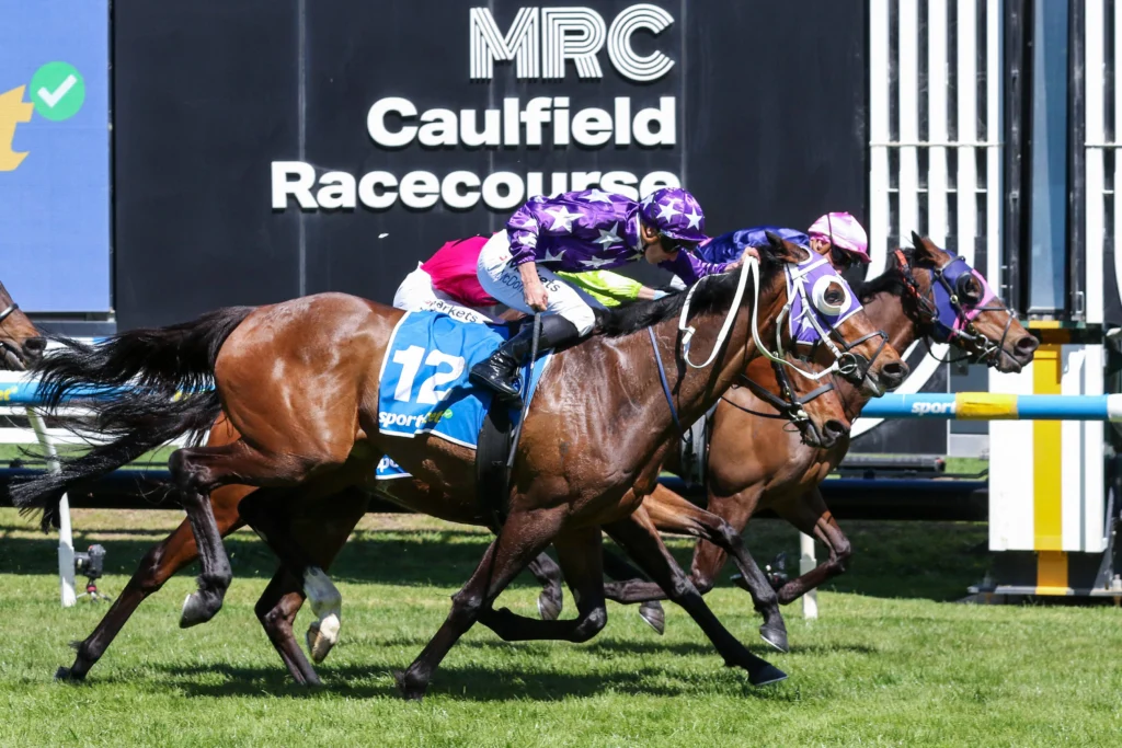 2026 Moonee Valley Gold Cup Tips & Best Bets: Pinhole