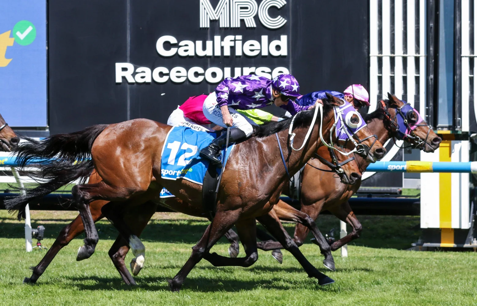 2026 Herbert Power Stakes winner Pinhole