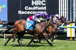 2026 Herbert Power Stakes winner Pinhole