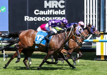 2026 Herbert Power Stakes winner Pinhole