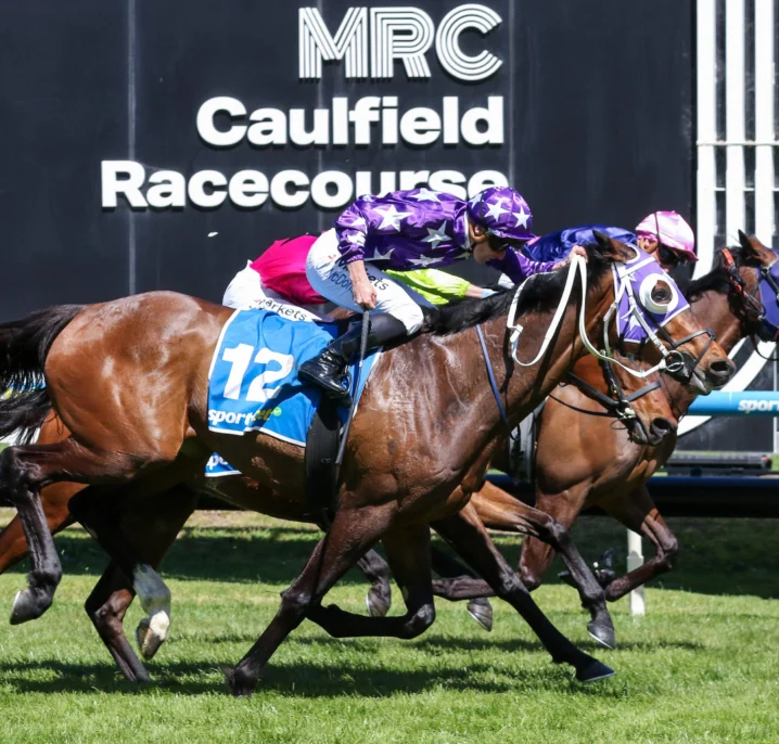 Pinhole Firms in Caulfield Cup 2026 Betting After Gritty Herbert Power Win