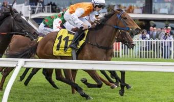 Spring Champion 2026 Odds Firm on Gloaming Winner Proxima Dea