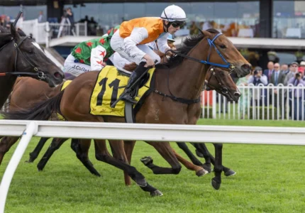 2026 Gloaming Stakes winner Proxima Dea