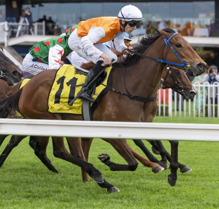 Spring Champion 2026 Odds Firm on Gloaming Winner Proxima Dea